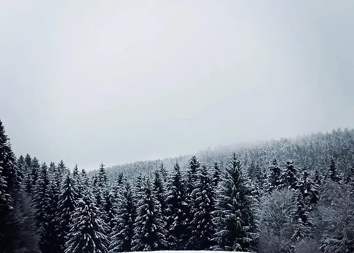 Cosy Dans Les Vosges, Terrasse Privative, Ideal Randonnees - Fr-1-589-643 *